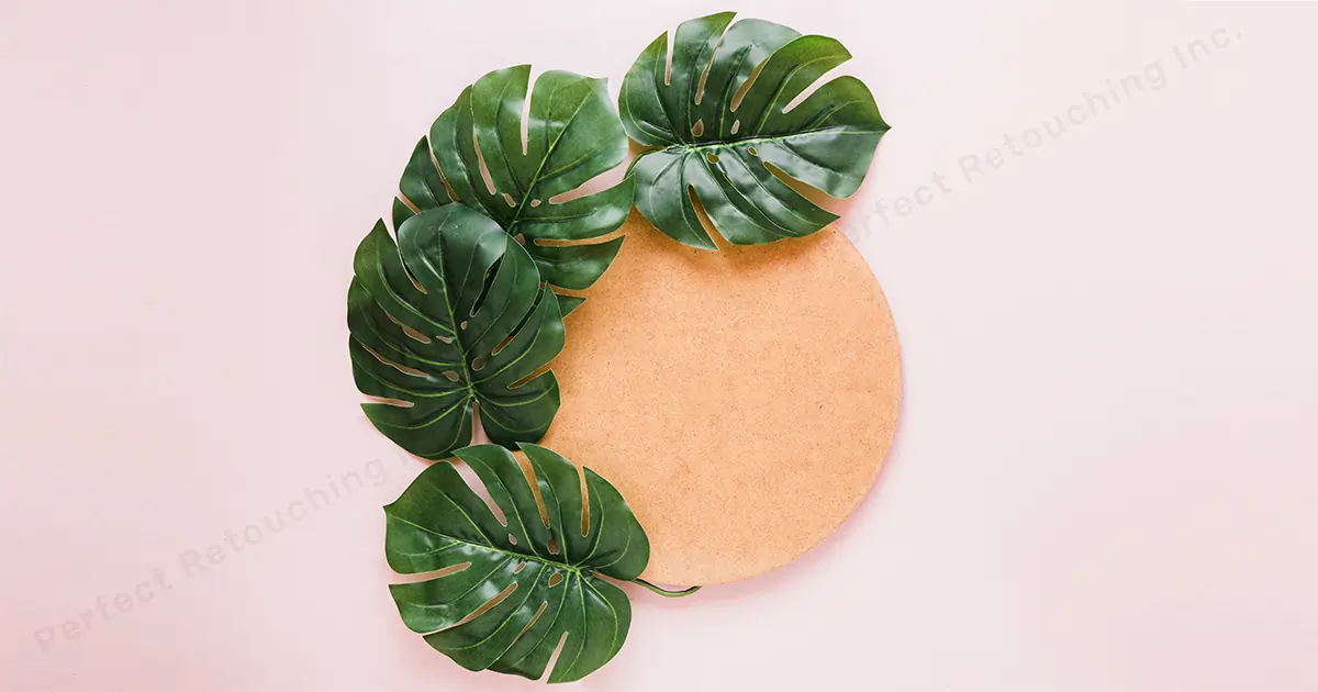 Feuille de Monstera comme accessoire photo